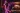 Venues and shows